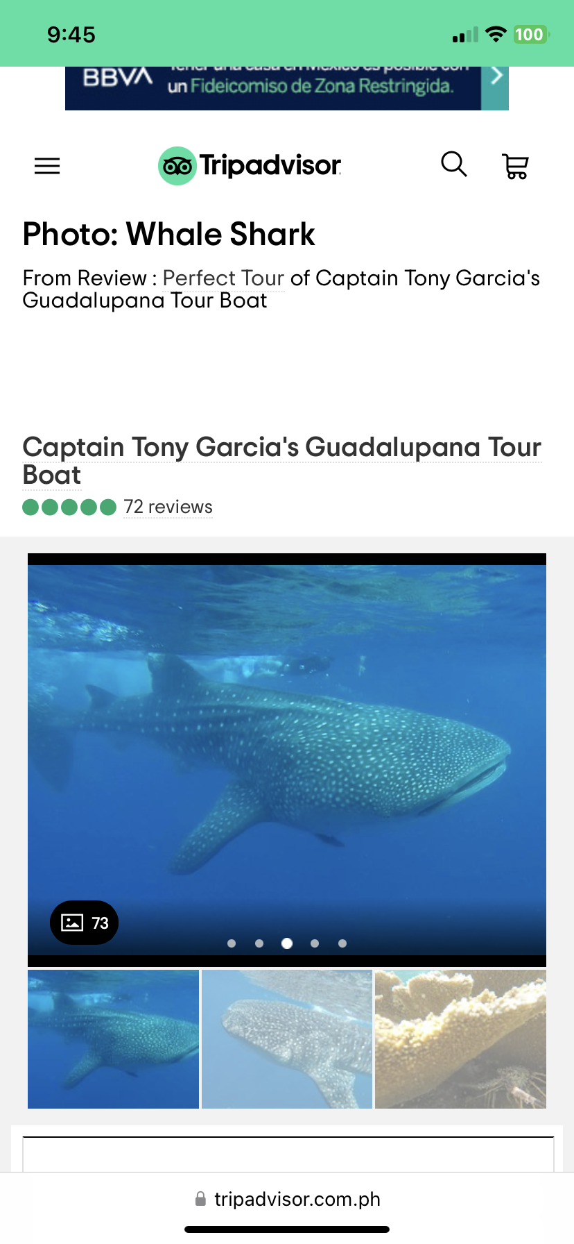 Captain Tony Garcia's Guadalupans Tour Boat